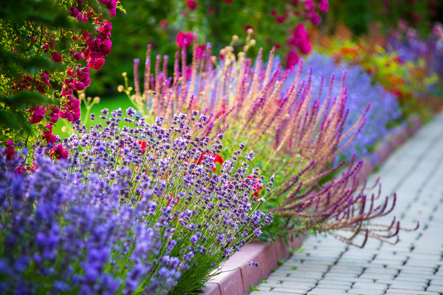 Gartenpflege / Pflanzarbeiten
